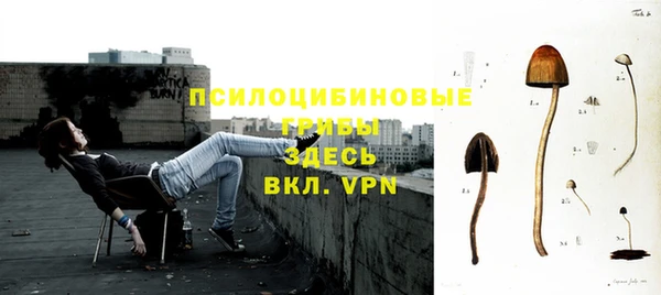 кокс Алексеевка