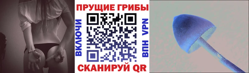 Псилоцибиновые грибы MAGIC MUSHROOMS  закладки  Долинск 